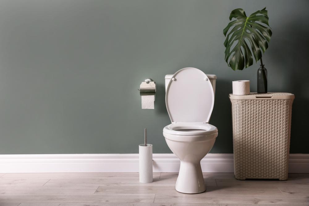 toilettes